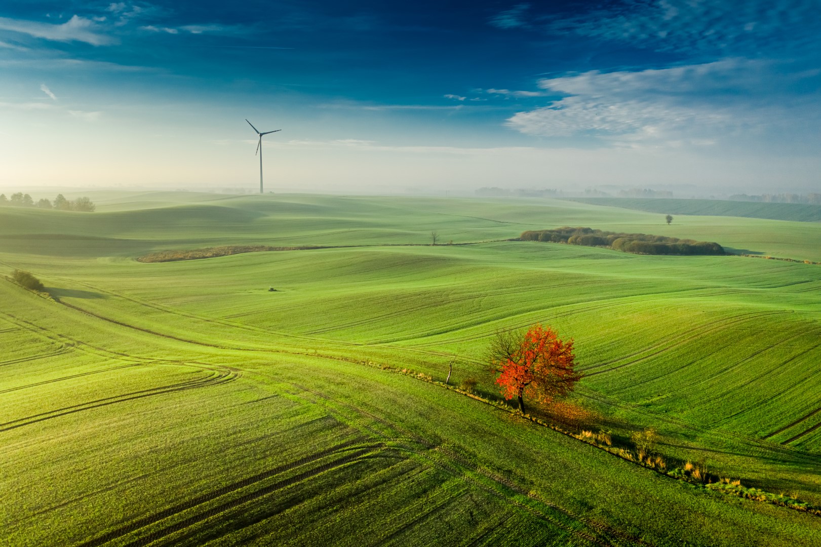 L’EPA modifica i regolamenti TSCA per il Deca-BDE e il PIP (3:1)