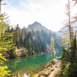 ISOIWA 482024 - L'avvio di una nuova era nelle pratiche ESG